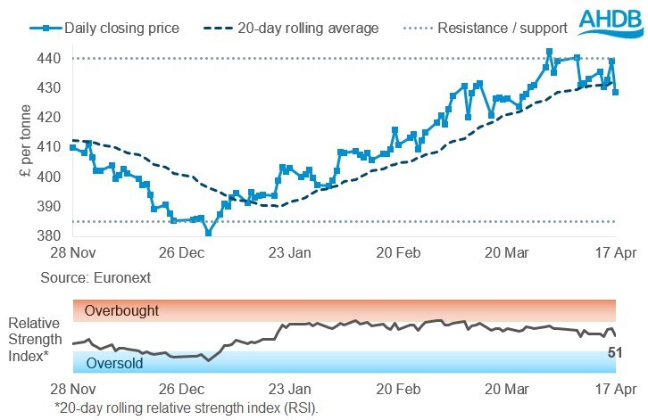 Line graph of Paris rapeseed futures Nov-26 contract prices over the past six months.